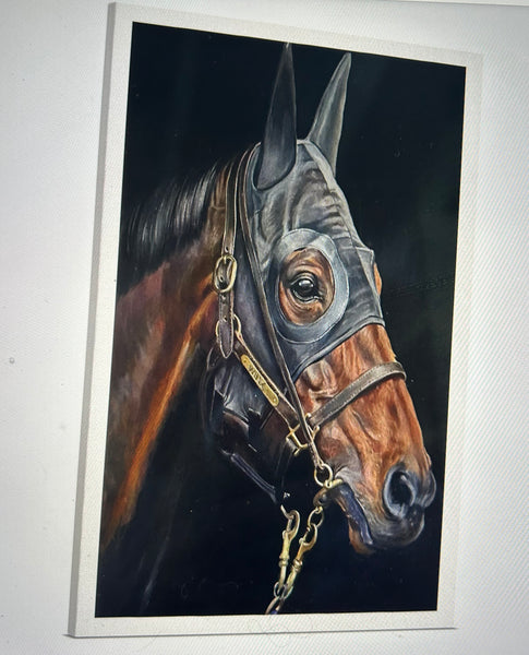WINX WITH HOOD CANVAS PRINT ON STRETCHER