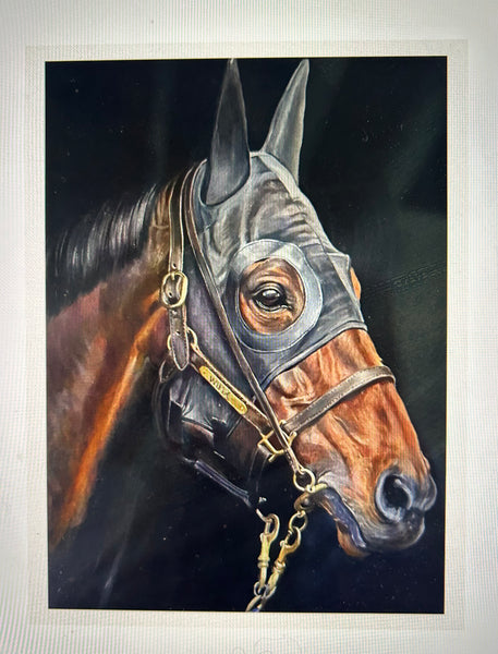 WINX WITH HOOD CANVAS PRINT ON STRETCHER