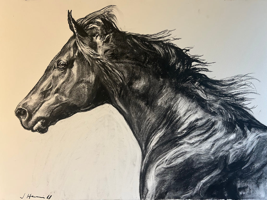 RED RESISTANCE CHARCOAL DRAWING