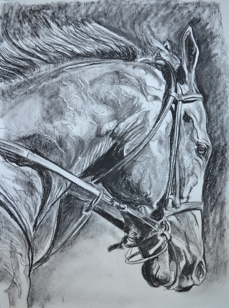 ARROGATE CHARCOAL DRAWING