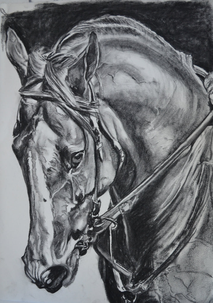 CALIFORNIA CHROME CHARCOAL DRAWING