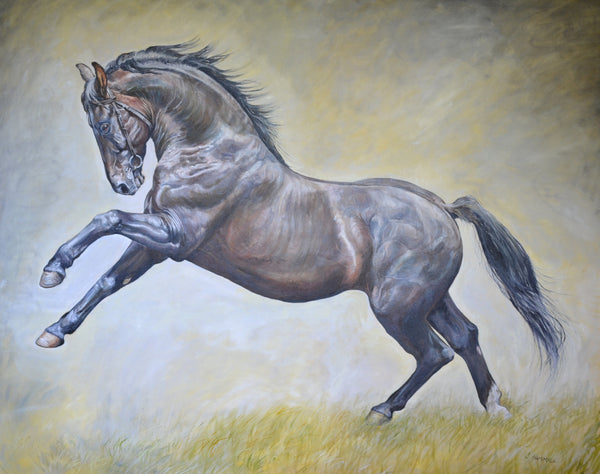 Black Stallion