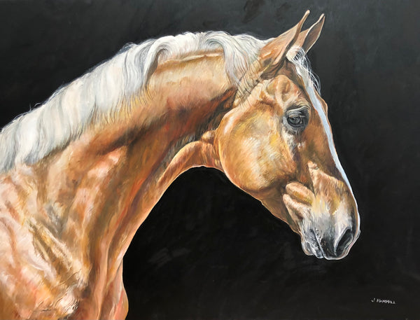 PALOMINO STALLION