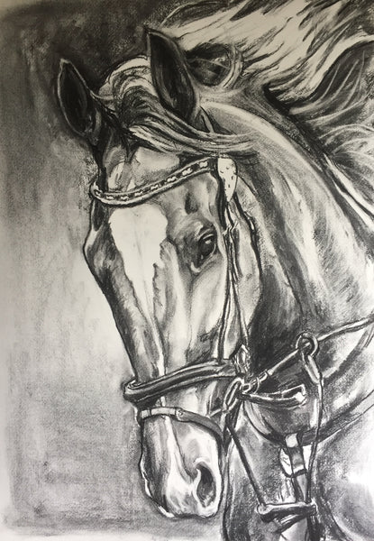 A drawing of your horse using your photo