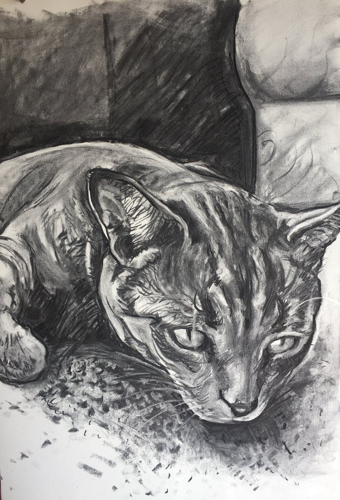 "CURIOSITY"