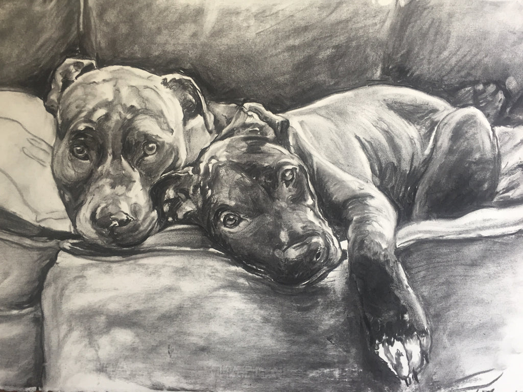 "A Pair of Couch Potatoes"