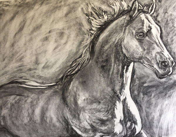 Instinction Charcoal Drawing