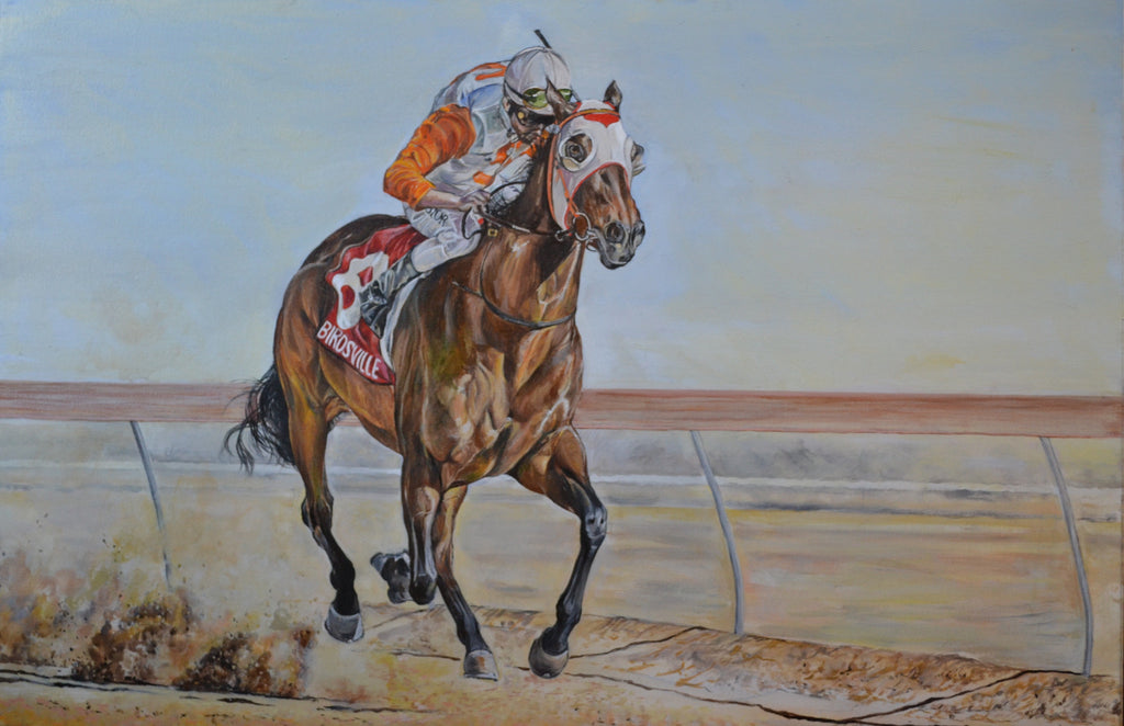 Iron Meteorite wins the 2015 Birdsville Cup