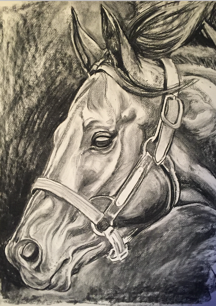 FIORENTE CHARCOAL DRAWING