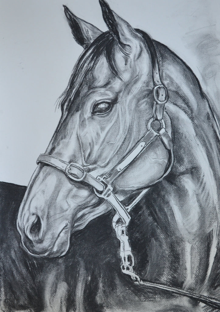 Winx Charcoal Drawing