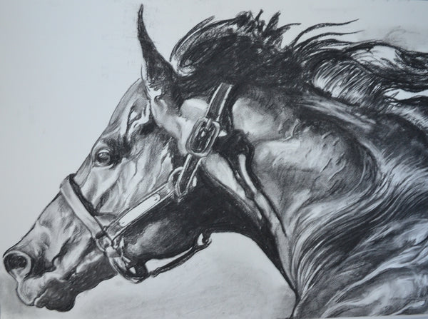Zoustar Charcoal Drawing